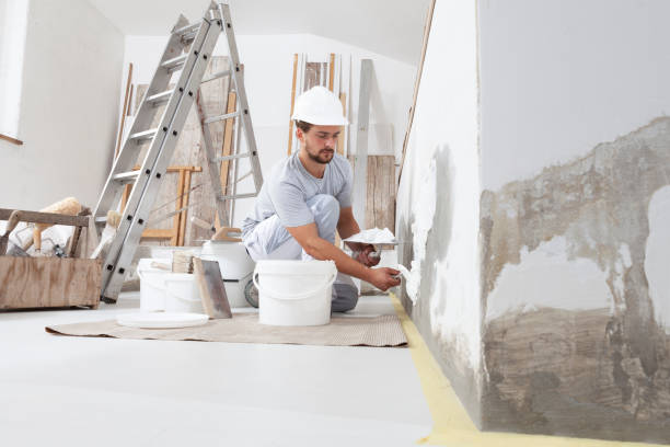 Best Fire-Damaged Drywall Repair  in Birch Run, MI