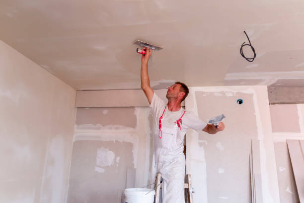 Best Drywall Removal and Disposal  in Birch Run, MI