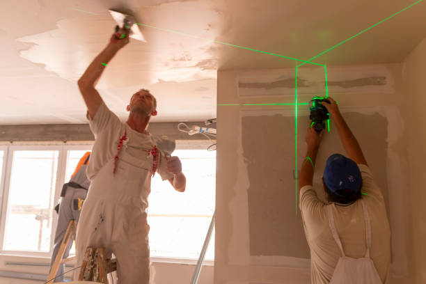 Best Drywall for Remodeling  in Birch Run, MI